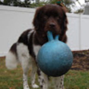 Meet your Posher, Beth